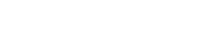 有料オプション