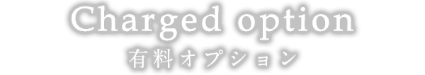 Charged option 有料オプション